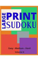 Large Print Sudoku Volume 6