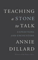 Teaching a Stone to Talk