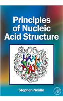 Principles of Nucleic Acid Structure