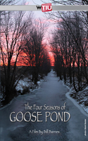 The Four Seasons of Goose Pond