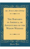 The Barnabys in America, or Adventures of the Widow Wedded (Classic Reprint)
