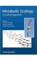 Metabolic Ecology