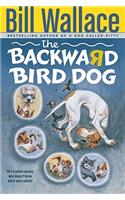 Backward Bird Dog