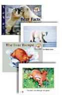 Steck-Vaughn Pair-It Books Transition 2-3: Classroom Set