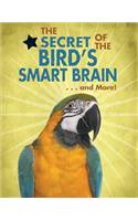 Secret of the Bird's Smart Brain...and More!