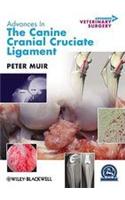 Advances in the Canine Cranial Cruciate Ligament