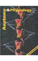 Anatomy and Physiology