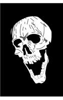 Skull: Notebook Journal Diary 110 Lined pages