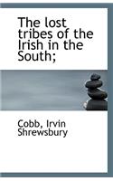 The Lost Tribes of the Irish in the South;