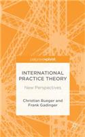 International Practice Theory: New Perspectives