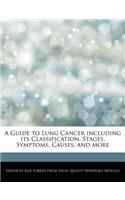 A Guide to Lung Cancer Including Its Classification, Stages, Symptoms, Causes, and More