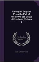 History of England From the Fall of Wolsey to the Death of Elizabeth, Volume 5