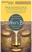 Buddha's Brain