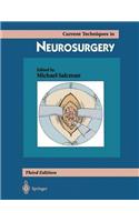 Current Techniques in Neurosurgery