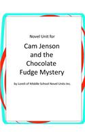 Novel Unit for Cam Jansen and the Chocolate Fudge Mystery