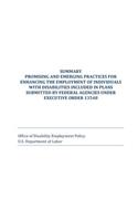 Summary Promising and Emerging Practices for Enhancing the Employment of Individuals with Disabilities Included in Plans Submitted by Federal Agencies Under Executive Order 13548