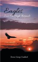 Eagles Soar On High Thermals