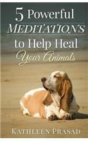 5 Powerful Meditations to Help Heal Your Animals