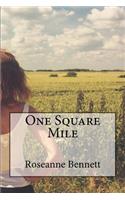 One Square Mile