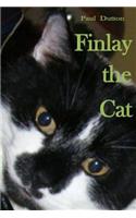 Finlay the Cat