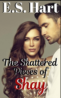 Shattered Pieces of Shay