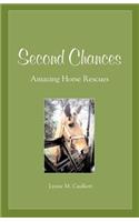 Second Chances