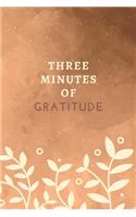 Three Minutes Of Gratitude