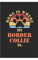 Border Collie