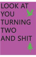 Look at You Turning Two and Shit Notebook Birthday Gift: Lined Notebook/ Journal Gifts,120 pages, 6×9, Soft Cover, Matte Finish