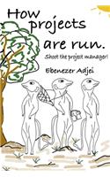 How projects are run: Shoot the project manager!