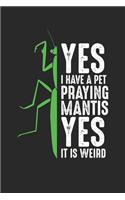 Yes I Have A Pet Praying Mantis Yes It Is Weird