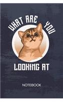 Bullet Dotted Journal: Kitten Lover Notebook Dotted Grid a5 6x9 120 Pages - Pussycat Planner Cat Baby Diary Cat Sayings - Cat Owner Cat Friend Gift Idea for Men and Women