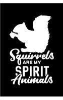 Squirrels Are My Spirit Animals: Squirrel, Spirit Animal, Squirrel Lovers Lined Notebook Journal Diary 6x9