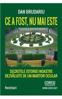 Ce a Fost NU Mai Este. Secretele Istoriei Noastre Dezvaluite de Un Martor Ocular
