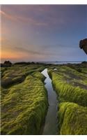 Moss Covered Beach Cothach in Vietnam Journal