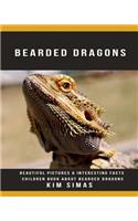 Bearded Dragons