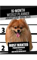 2019-2020 Weekly Planner - Most Wanted Beagle Pomeranian: (Dog Planners 2019-2020)