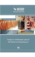 Strategies for Small Wastewater Systems for Risk Reduction and Safeguarding Assets