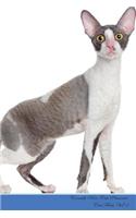 Cornish Rex Cat Presents: Cat Facts Workbook. Cornish Rex Cat Presents Cat Facts Workbook with Self Therapy, Journalling, Productivity Tracker with Self Therapy, Journalling,