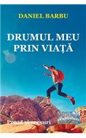 Drumul Meu Prin Viata
