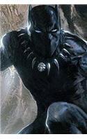 Journal: The Black Panther