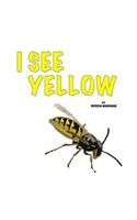 I See Yellow: Learning Primary Colors