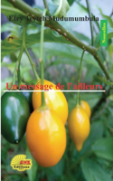 message de l'ailleurs