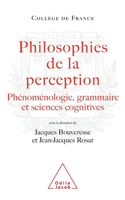 Philosophy of Perception