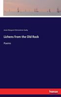 Lichens from the Old Rock