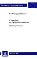 Zur Effizienz der Selbsthilfeorganisation: Am Beispiel Indonesien