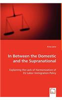 In Between the Domestic and the Supranational: Explaining the Lack of Harmonization of EU Labor Immigration Policy