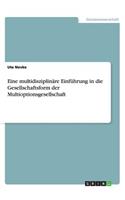Eine multidisziplinäre Einführung in die Gesellschaftsform der Multioptionsgesellschaft