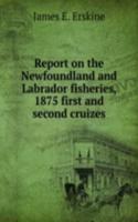 Report on the Newfoundland and Labrador fisheries, 1875 first and second cruizes