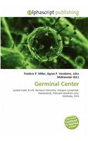 Germinal Center: (English)